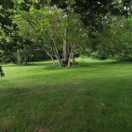 Au Chemin De Mazous Villa Laguian-Mazous Ngoại thất bức ảnh